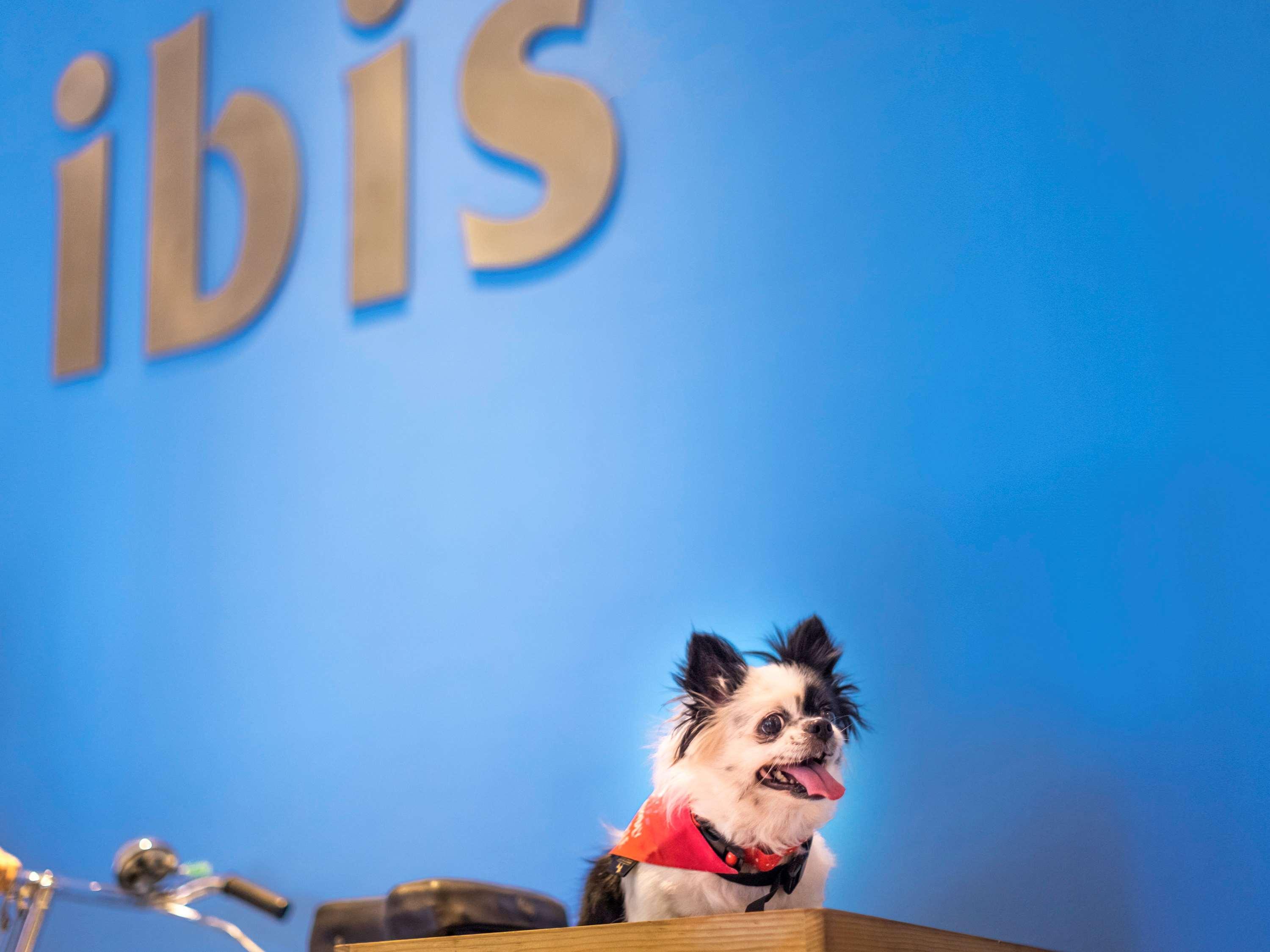 Ibis Pune Viman Nagar - An Accor Brand Buitenkant foto