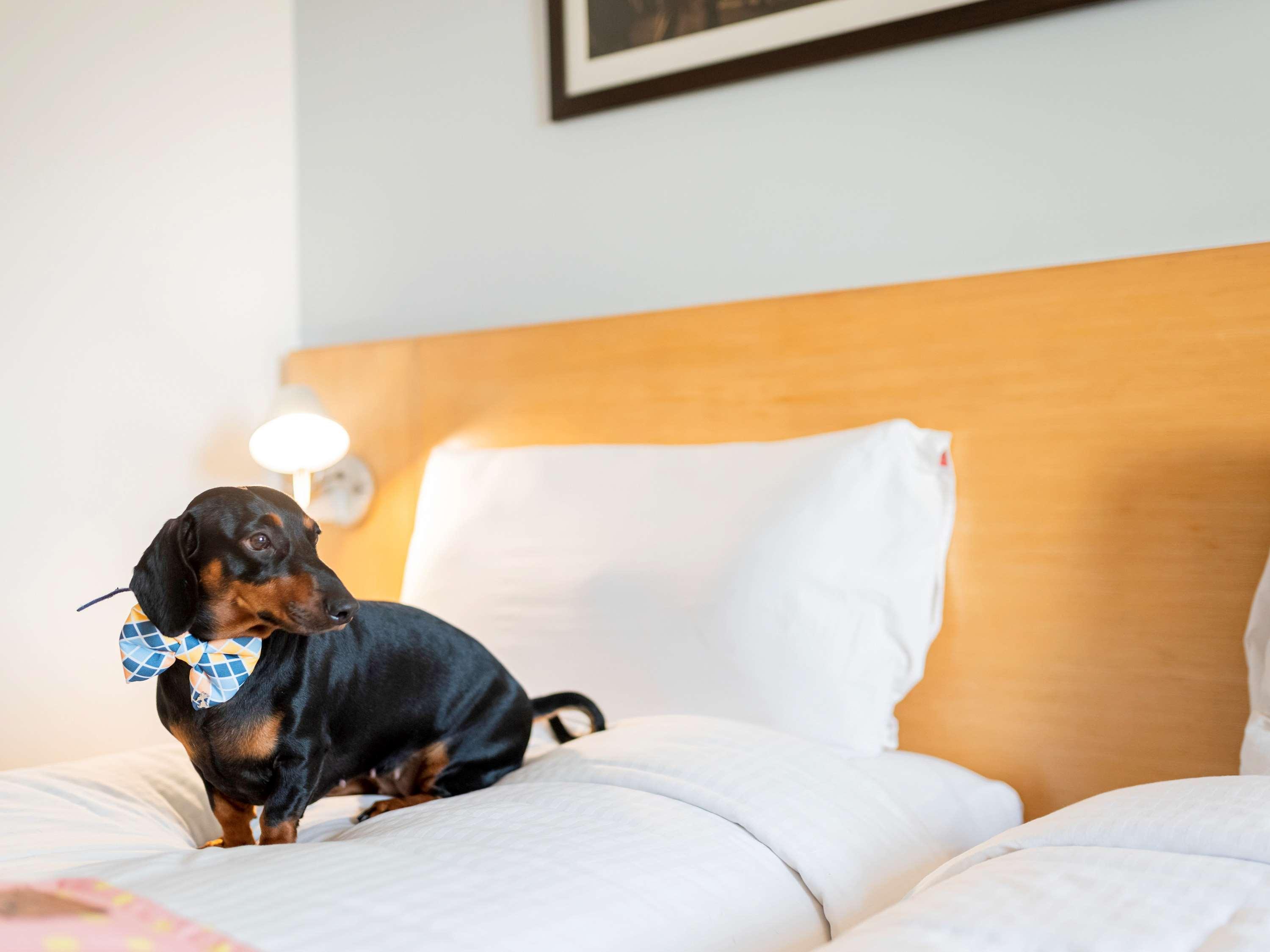 Ibis Pune Viman Nagar - An Accor Brand Buitenkant foto