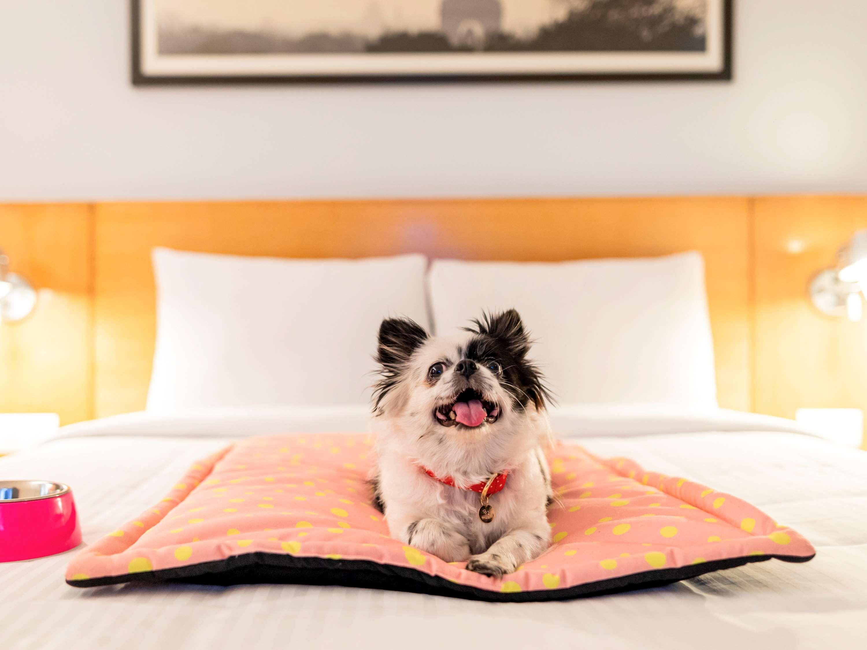 Ibis Pune Viman Nagar - An Accor Brand Buitenkant foto